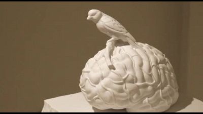 A Roma in mostra l'arte visionaria dell'artista belga Jan Fabre