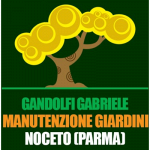Gandolfi Gabriele Manutenzione Giardini
