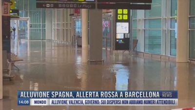 Breaking News delle 14.00 | Alluvione Spagna, allerta rossa a Barcellona