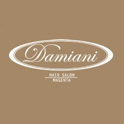 Damiani Hair Salon logo
