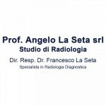 Prof. Angelo La Seta