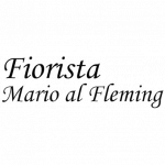 Mario Fleming Fiorista