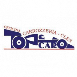 Top Car Service logo