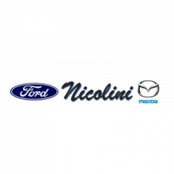 Nicolini Servizio Autorizzato Ford logo