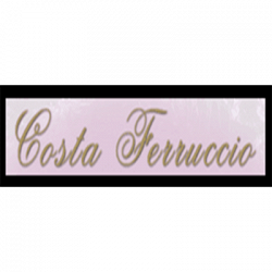 Costa Ferruccio Pietre Preziose e Semipreziose logo