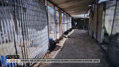 Impuniti: per la festa del sacrificio gli islamici calpestano le nostre leggi