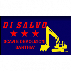 Di Salvo Scavi logo