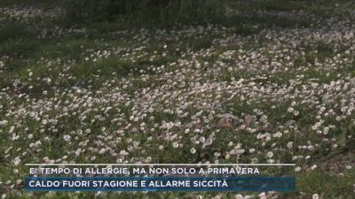 E' tempo di allergie, ma non solo a primavera