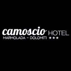Albergo Camoscio logo