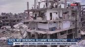Breaking News delle 14.00 | Gaza, Msf denuncia: allarme malnutrizione