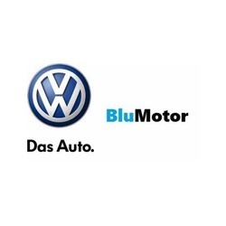 Blu Motor logo