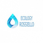 Ecology Rossiello