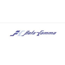 Betagamma logo