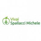 Vivai Spallacci Michele – Alberi da Frutto