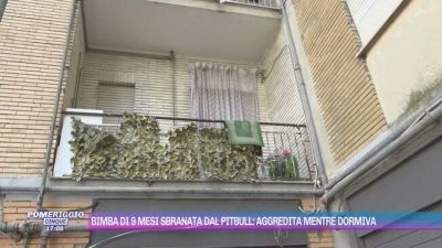 Bimba di 9 mesi sbranata dal pitbull: aggredita mentre dormiva