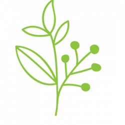 Azienda Agricola Zottarelli Luca logo