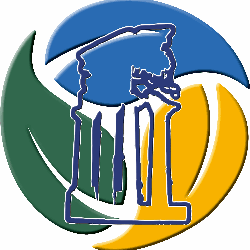 Giunone Services - Guarragi logo