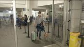 Rivoluzione nel trasporto aereo, sì a cani e gatti in cabina