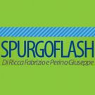 Spurgo Flash