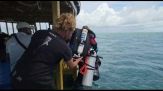 Alle Maldive recuperati i corpi degli ultimi due sub italiani