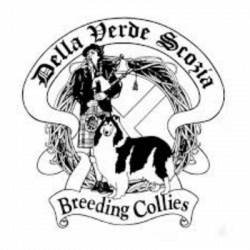 Allevamento Della Verde Scozia logo