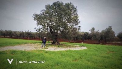 Al Bano da "E' la mia vita"