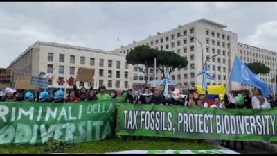 Flash mob di Greenpeace e ambientalisti fuori dalla Cop16 a Roma