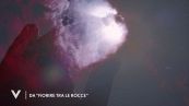 Dal libro "Fiorire tra le rocce"