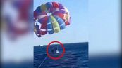 Fa parasailing: uno squalo esce dall'acqua e lo morde