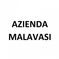 Malavasi Daniele logo