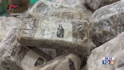 1000 kg di stupefacenti ancora sequestri