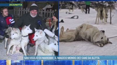 San Vigilio di Marebbe: il magico mondo dei cani da slitta