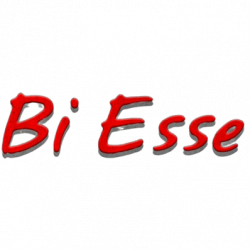 Impresa Edile BiEsse Srl logo