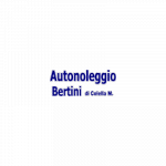 Taxi Autonoleggio Bertini  Noleggio con Conducente