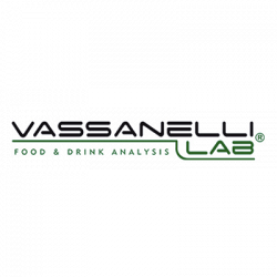 Vassanelli Lab logo