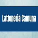 Lattoneria Camuna