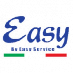 Easy Service logo