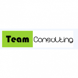 Team Consulting logo