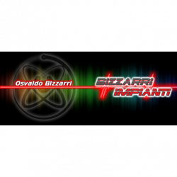Bizzarri Impianti di Allarme logo