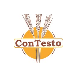 Contesto logo