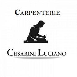 Cesarini Luciano e Sandro S.r.l. logo