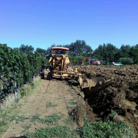 RASETTA SCAVI DI MATTIA RASETTA foto web 1