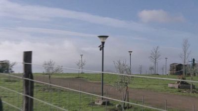 Trevignano, parla un seguace di Gisella