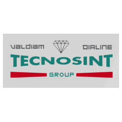 Tecnosint Group logo