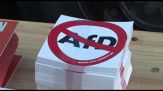 Germania, raduno anti-AfD in Sassonia Anhalt: "1933 potrebbe tornare"