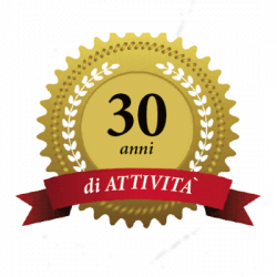 Punto Sistem Gianfranco di Domenico logo