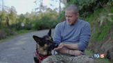 "Heart of the beast", lo straordinario legame tra uomo e cane