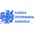Clinica Veterinaria Gaggiolo Dr. Flavio Bizzozero