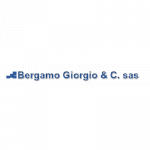 Autofficina Elettrauto Bergamo Giorgio & C. Sas