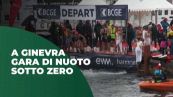 A Ginevra la gara di nuoto sotto zero